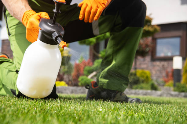 Best Termite Control Services  in Concordia, NJ
