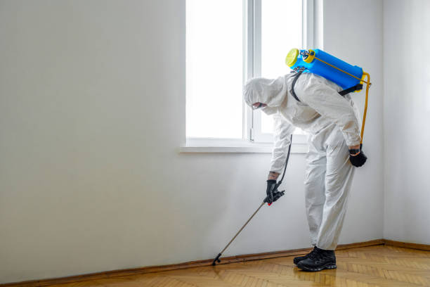 Best Pest Prevention Services  in Concordia, NJ