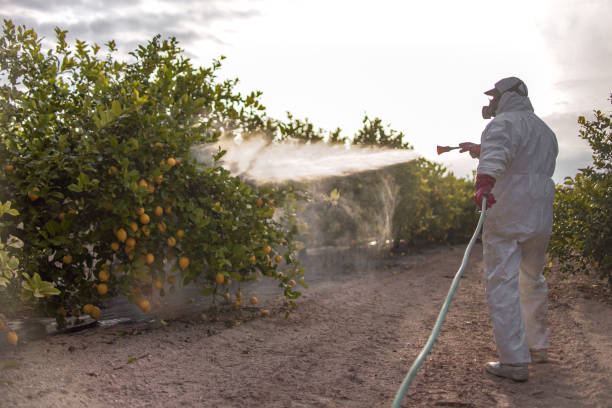 Best Mosquito Control Services  in Concordia, NJ