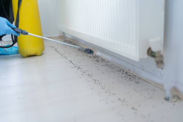 Pest Prevention Services in Concordia, NJ