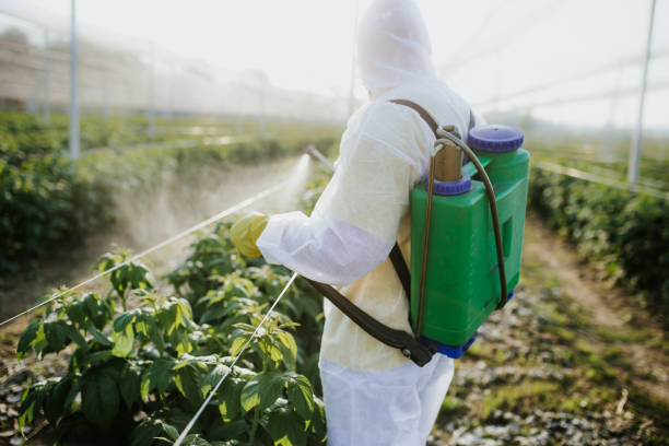 Trusted Concordia, NJ Pest Control Experts